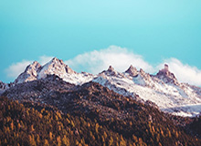 阿不都沙拉木和特莱斯分别当选CBA第三周周最佳球员